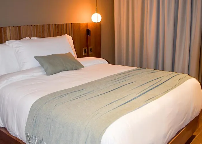 Apartamento Urban Kepler *